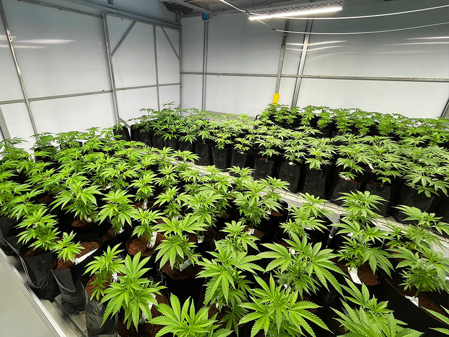 Stable Grow Facility