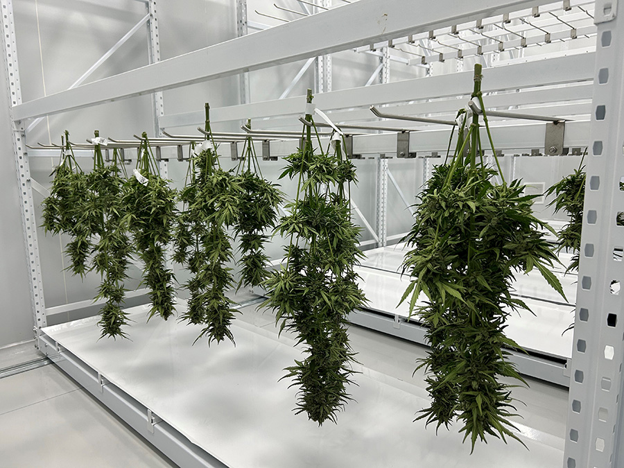 Stable Grow Facility