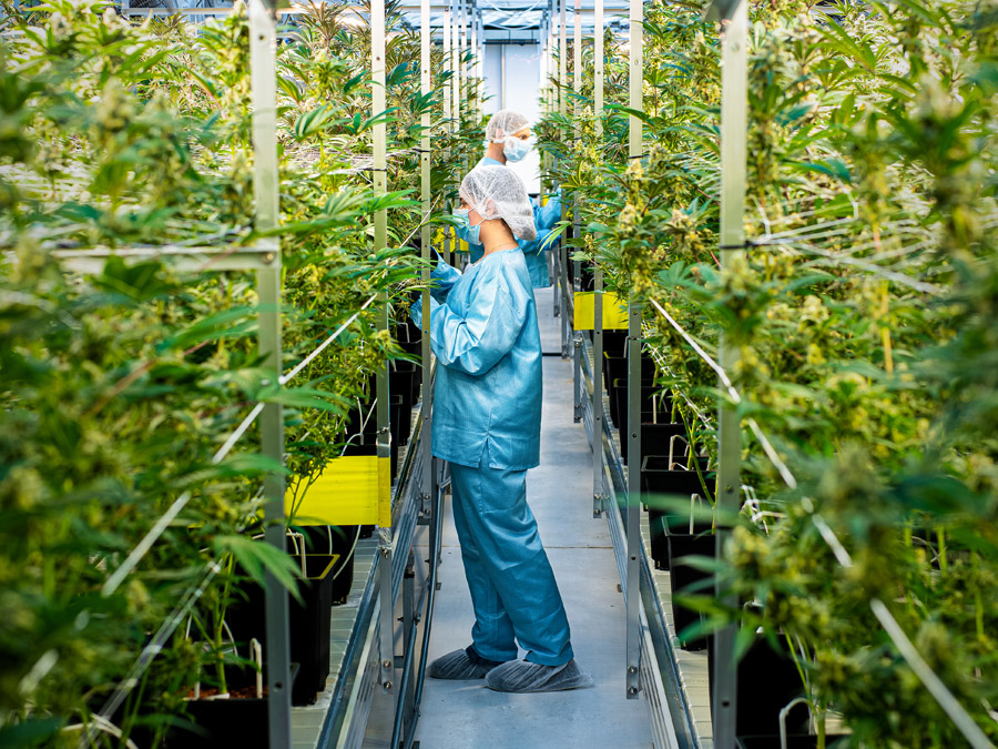 Stable Grow Facility