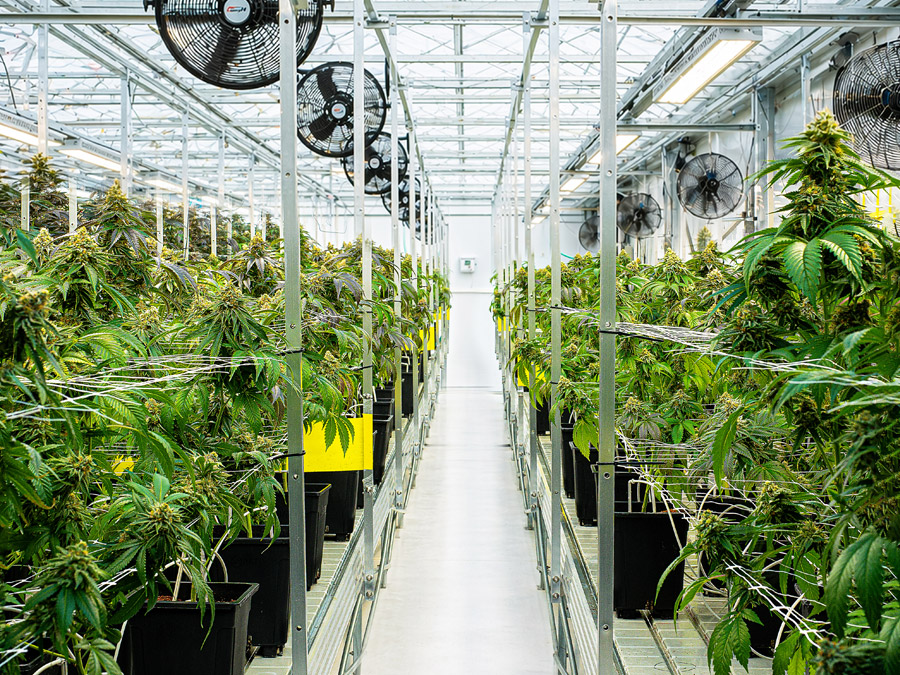 Stable Grow Facility